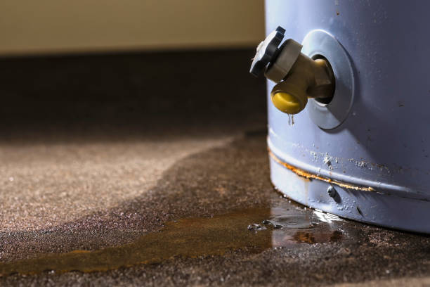 Best Sewage cleanup and water damage restoration  in Sanford, FL