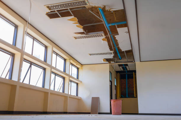 Best Local water damage restoration  in Sanford, FL