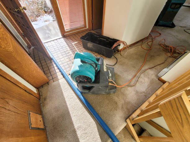 Best 24/7 water damage repair  in Sanford, FL