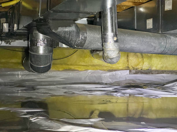 Best Mold removal after water damage  in Sanford, FL