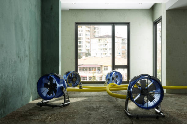 Best 24/7 water damage repair  in Sanford, FL